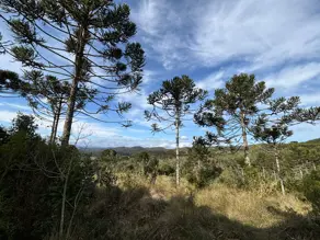 Imagem 2 - Terreno em Invernadinha, Rancho Queimado - SC