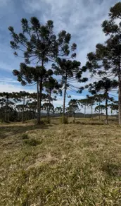 Imagem 6 - Terreno em Invernadinha, Rancho Queimado - SC