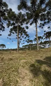 Imagem 5 - Terreno em Invernadinha, Rancho Queimado - SC