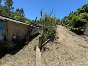 Imagem 2 - Chácara em Rural, Alfredo Wagner - SC