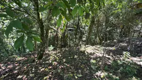 Imagem 6 - Chácara em Rural, Alfredo Wagner - SC