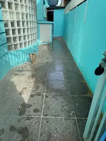 Imagem 2 - Casa em JURERÊ, Florianópolis - SC