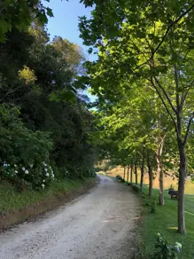 Imagem 2 - Terreno Condomínio em Centro, Rancho Queimado - SC