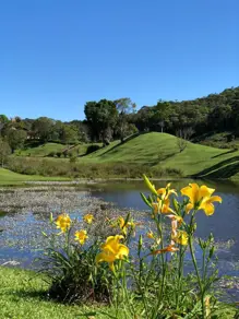 Imagem 4 - Terreno Condomínio em Centro, Rancho Queimado - SC