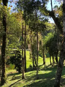 Imagem 6 - Terreno Condomínio em Centro, Rancho Queimado - SC