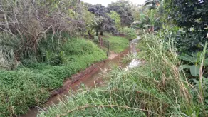 Imagem 5 - Terreno em Ratones, Florianópolis - SC