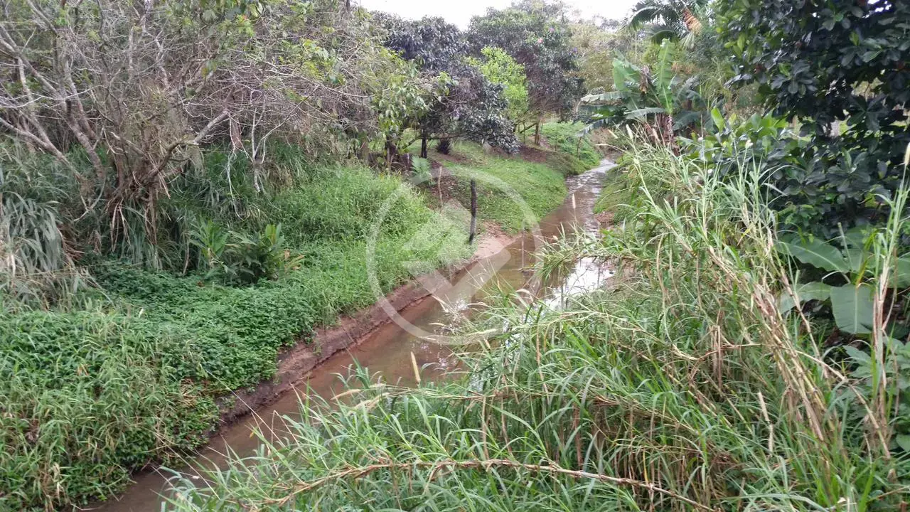 Imagem 5 - Terreno em Ratones, Florianópolis - SC