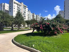 Imagem 4 - Apartamento em Serraria, São José - SC