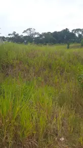 Imagem 4 - Terreno em Sertão do Maruim, São José - SC