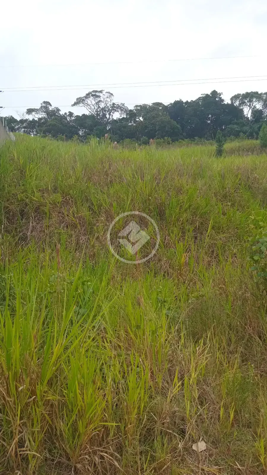 Imagem 4 - Terreno em Sertão do Maruim, São José - SC