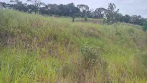 Terreno Sertão do Maruim, São José - SC — foto 1