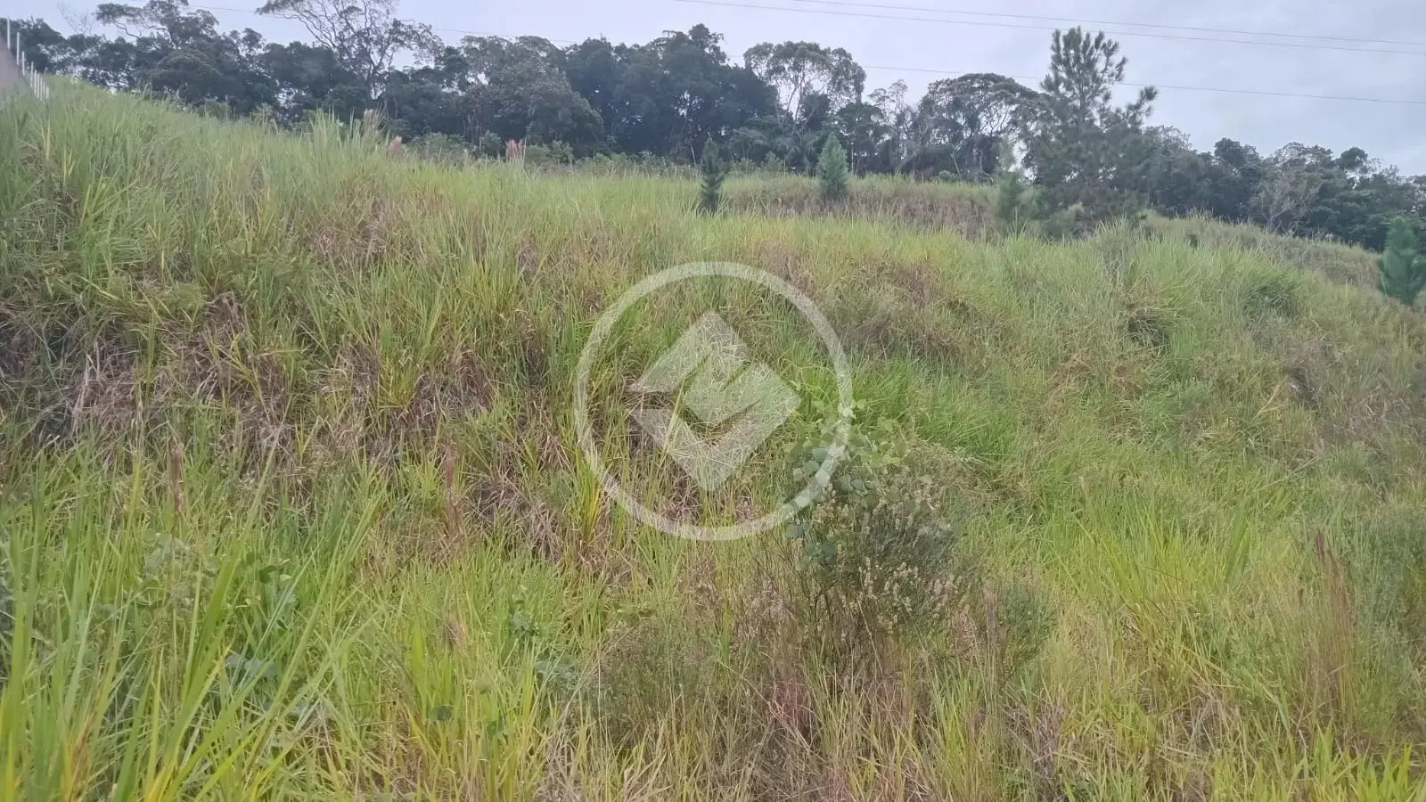 Imagem 1 - Terreno em Sertão do Maruim, São José - SC