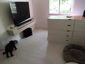Imagem 5 - Apartamento em CANASVIEIRAS, Florianópolis - SC