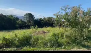 Terreno Forquilhas, São José - SC — foto 1