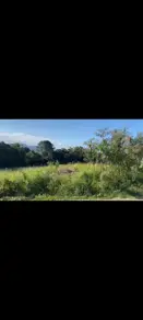 Terreno Forquilhas, São José - SC — foto 2