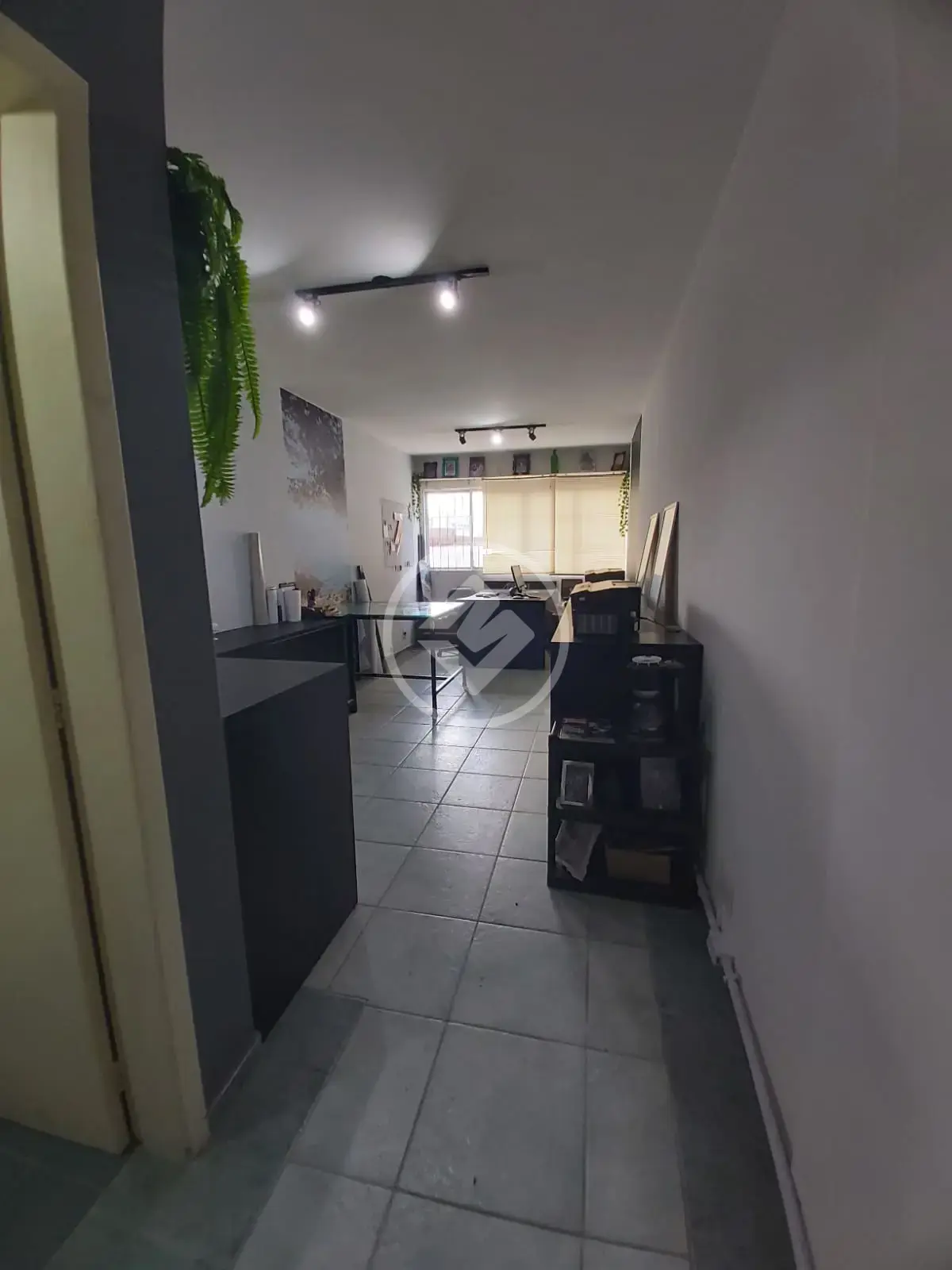 Imagem 3 - Sala Comercial em Trindade, Florianópolis - SC