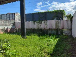 Imagem 5 - Casa Comercial em Campinas, São José - SC