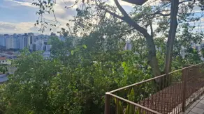 Imagem 2 - Casa em Centro, Florianópolis - SC