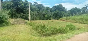 Imagem 3 - Sítio em Invernadinha, Rancho Queimado - SC