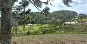 Sítio Invernadinha, Rancho Queimado - SC — foto 2