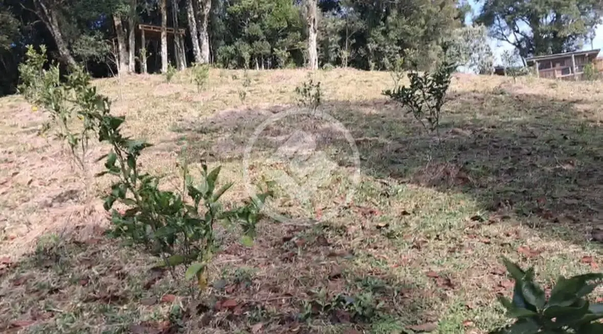 Image 10 - Sítio em Invernadinha, Rancho Queimado - SC