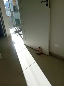 Imagem 2 - Apartamento em Areias, São José - SC