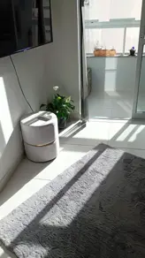 Imagem 5 - Apartamento em Areias, São José - SC