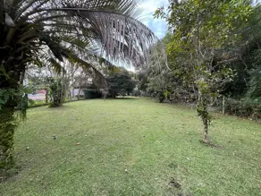 Terreno Canasvieiras, Florianópolis - SC — foto 1