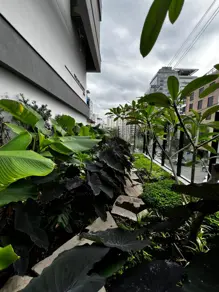 Imagem 2 - Apartamento em Centro, Florianópolis - SC