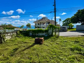 Terreno Ponta de Baixo, São José - SC — foto 2