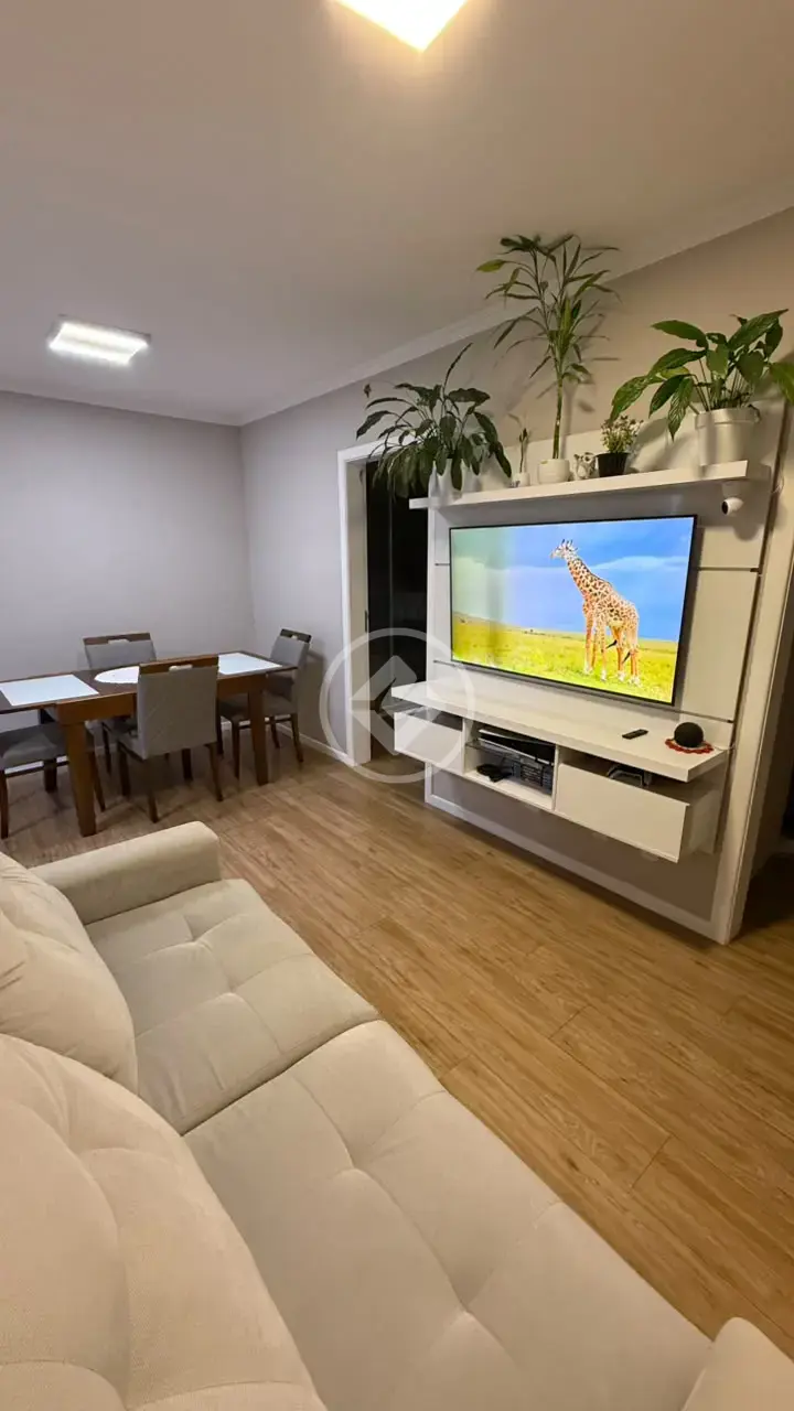 Imagem 4 - Apartamento em Caminho Novo, Palhoça - SC