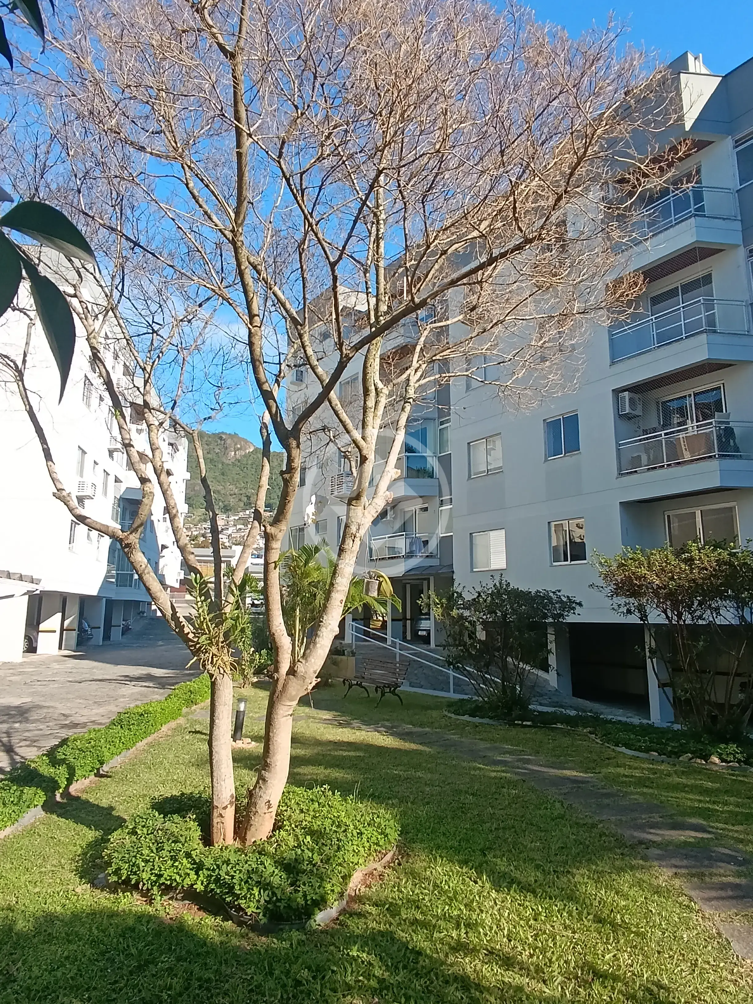 Imagem 1 - Apartamento em Trindade, Florianópolis - SC