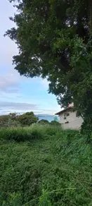 Imagem 4 - Terreno em Ponta de Baixo, São José - SC