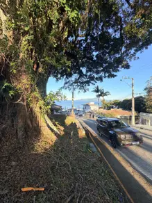 Imagem 5 - Terreno em Ponta de Baixo, São José - SC