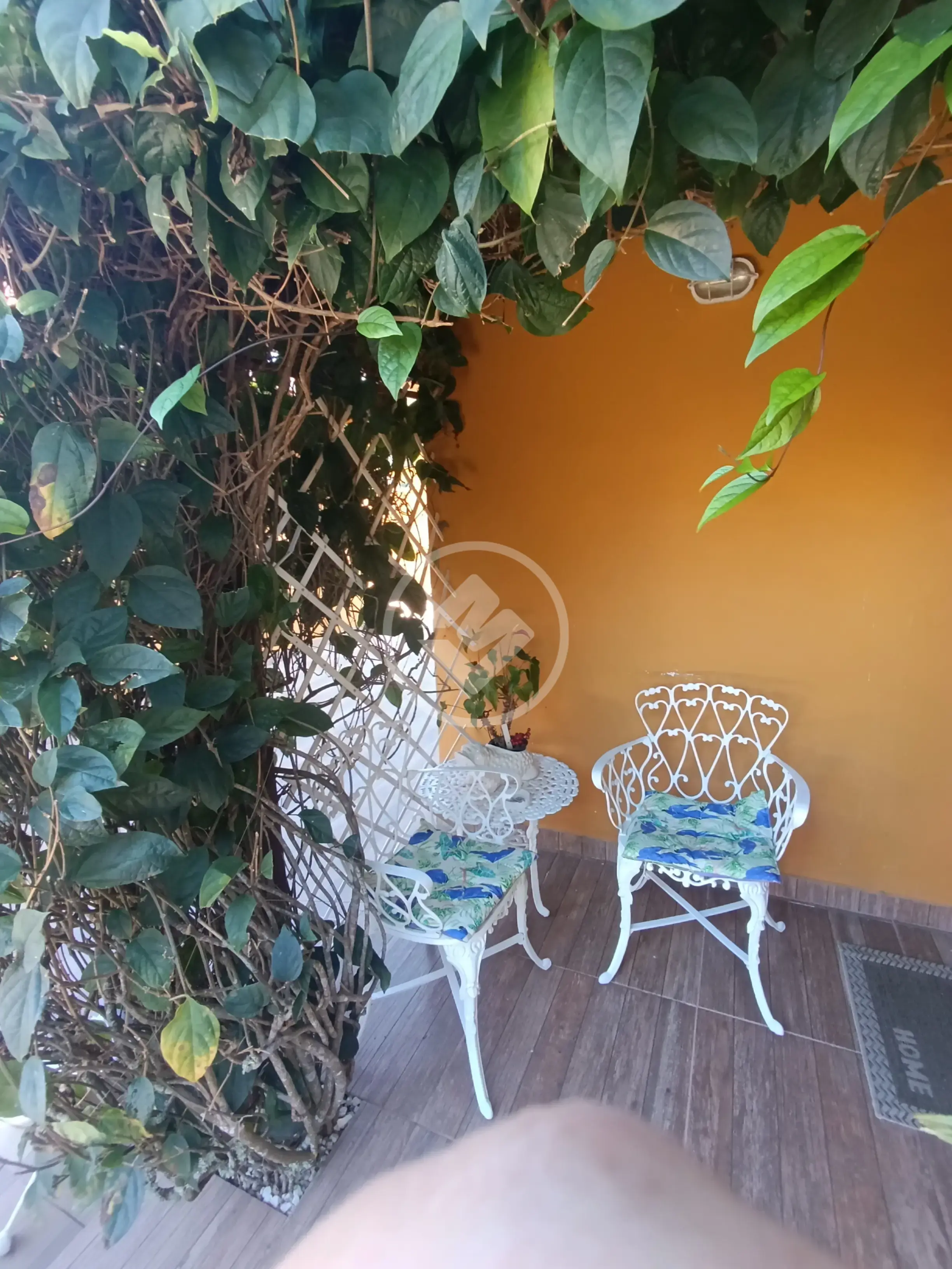 Imagem 1 - Casa em Cachoeira do Bom Jesus, Florianópolis - SC