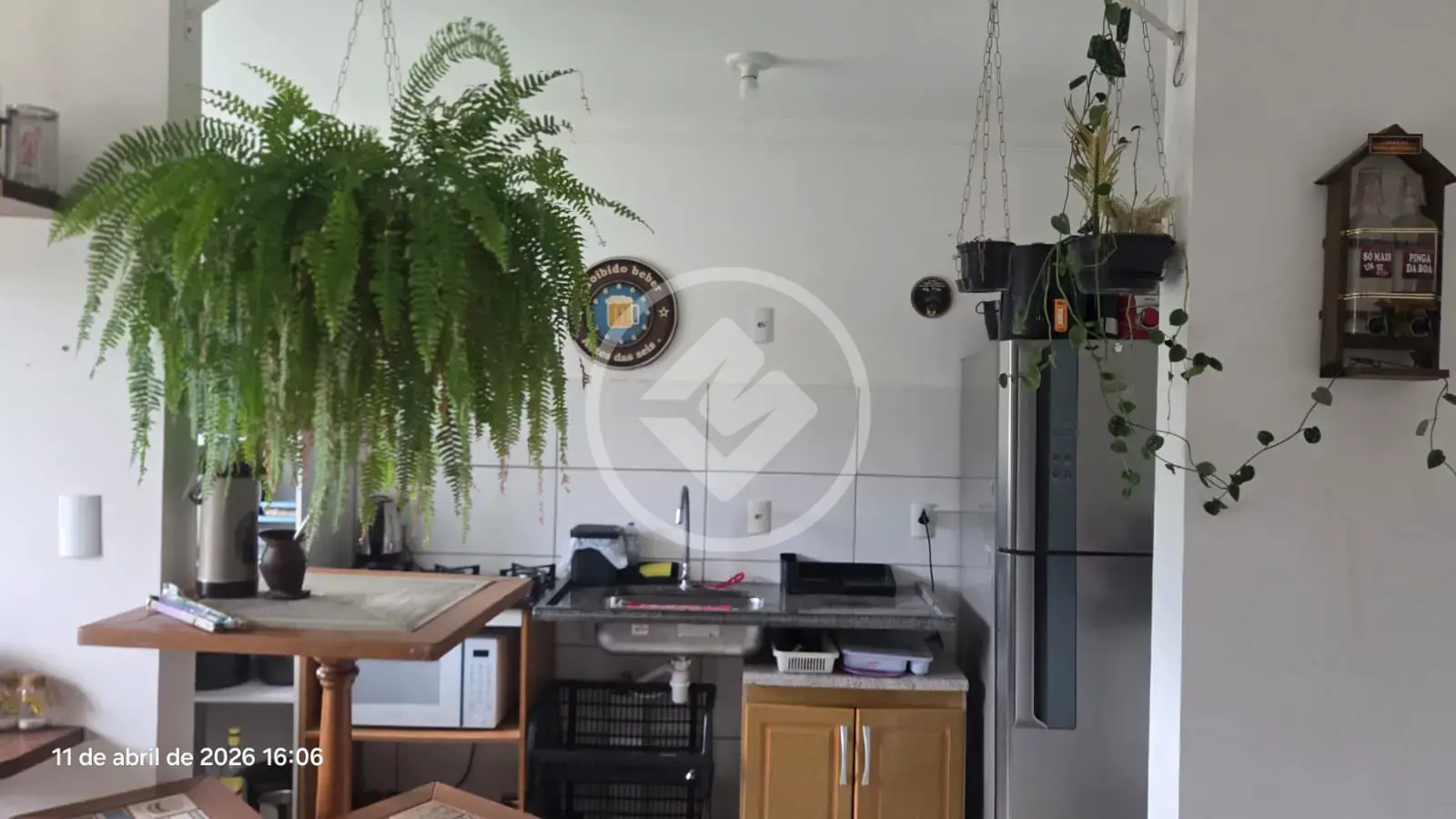 Imagem 5 - Apartamento em Vargem do Bom Jesus, Florianópolis - SC