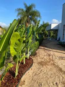 Imagem 2 - Casa Condomínio em CANASVIEIRAS, Florianópolis - SC