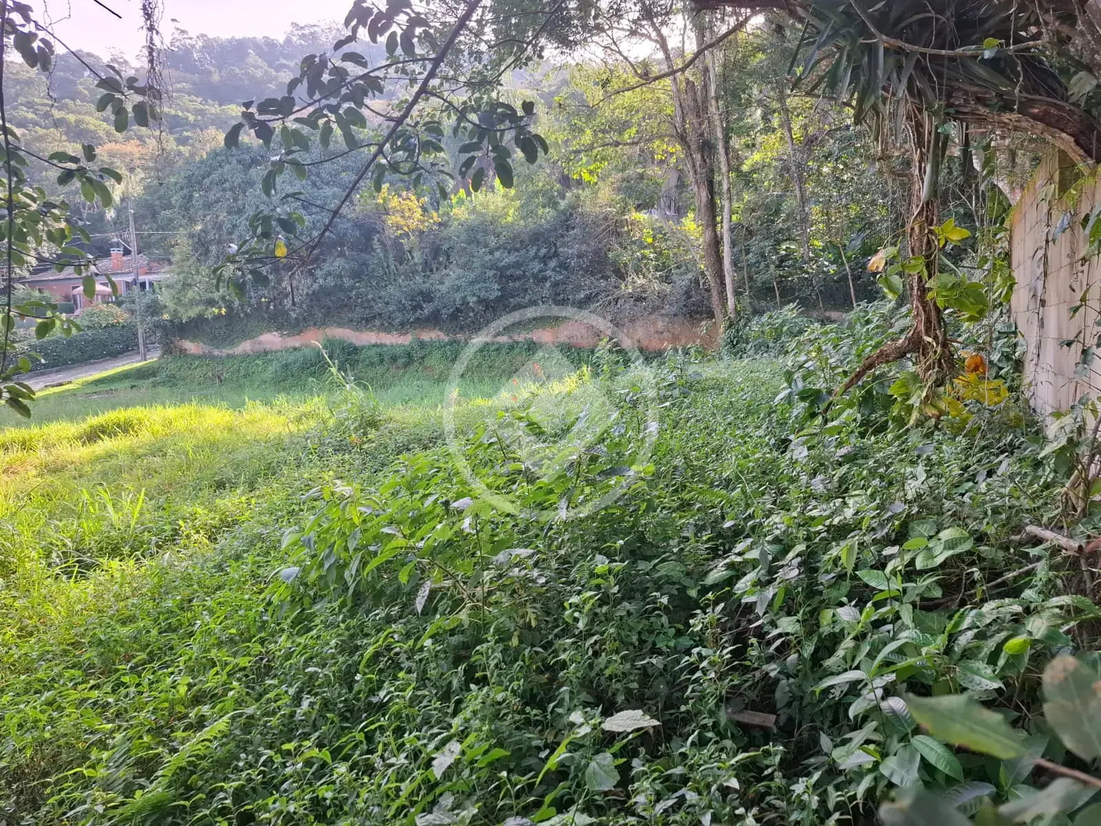 Image 12 - Terreno Condomínio em Lagoa da Conceição, Florianópolis - SC