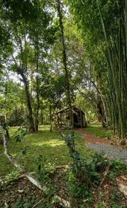 Imagem 3 - Terreno em Barra do Sambaqui, Florianópolis - SC