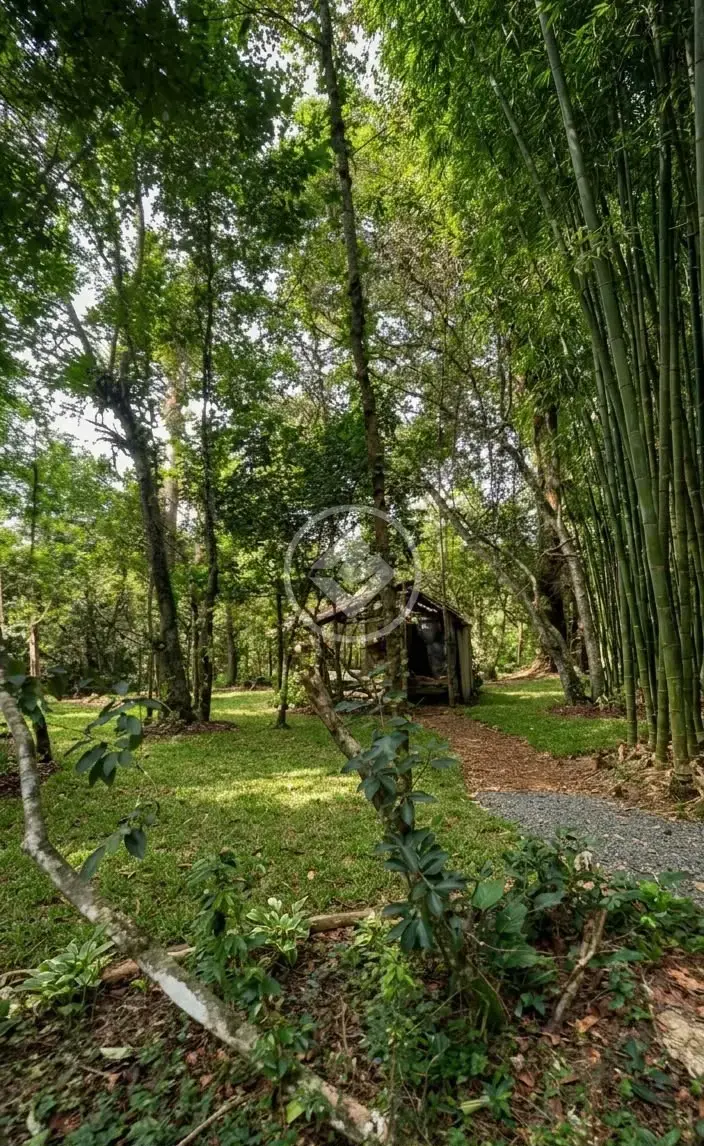 Image 4 - Terreno em Barra do Sambaqui, Florianópolis - SC
