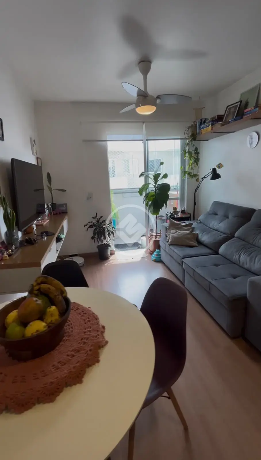 Image 2 - Apartamento em CANASVIEIRAS, Florianópolis - SC
