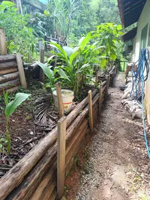 Imagem 5 - Apartamento em Itacorubi, Florianópolis - SC