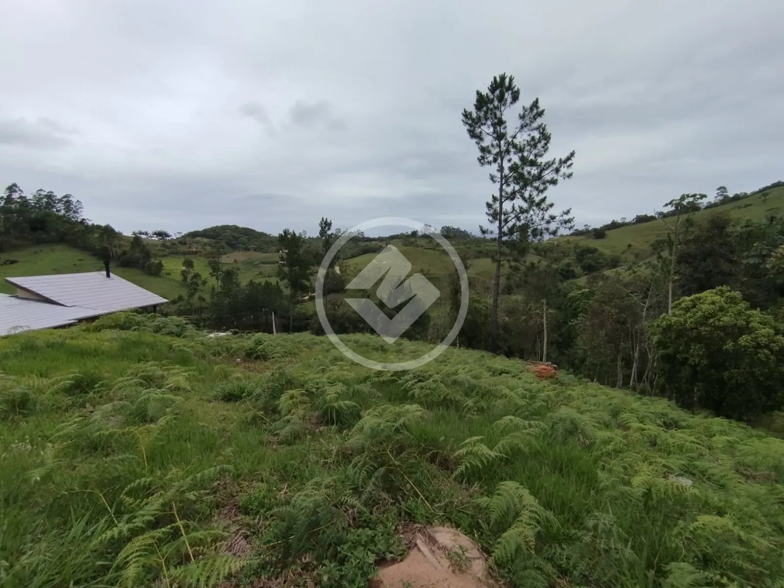 Imagem 3 - Terreno em Centro, Santo Amaro da Imperatriz - SC