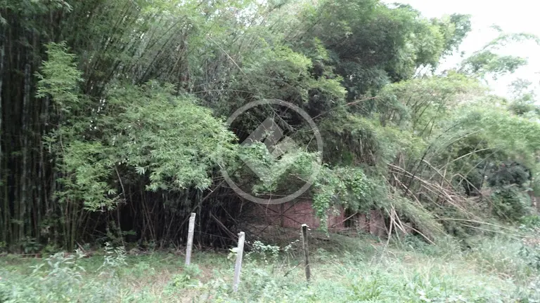 Image 8 - Terreno em Itacorubi, Florianópolis - SC
