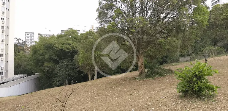Imagem 2 - Terreno em Itacorubi, Florianópolis - SC