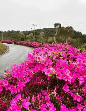 Imagem 3 - Terreno Condomínio em Invernadinha, Rancho Queimado - SC