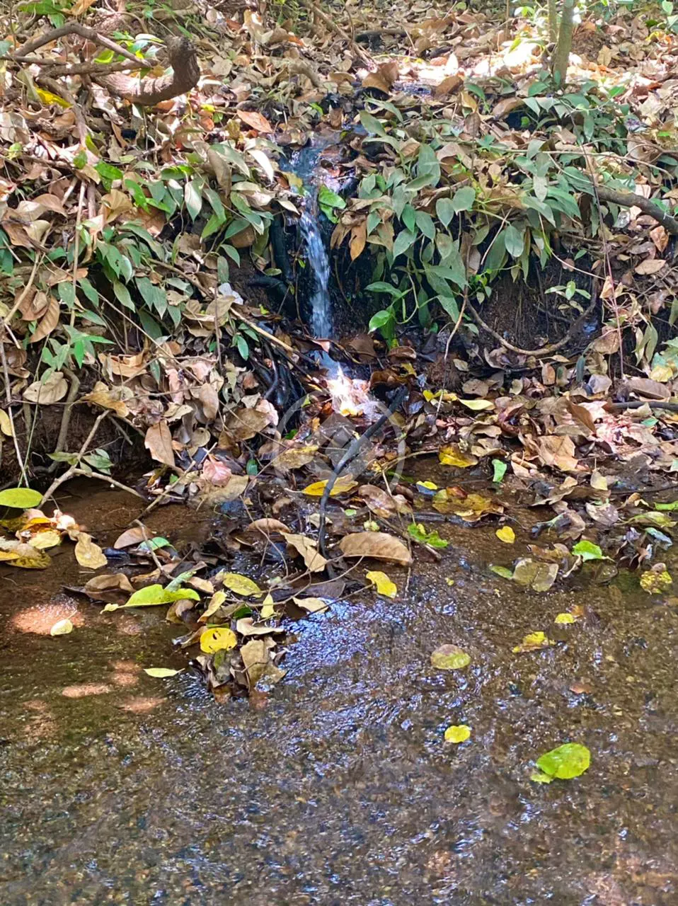 Imagem 3 - Chácara em Estância Cantinho do Céu - Fazenda Caiçara, Bela Vista de Goiás - GO