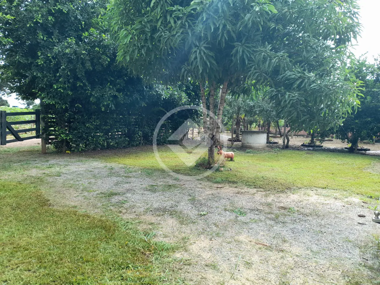 Chácara Heitorai, Heitoraí - GO — foto 1