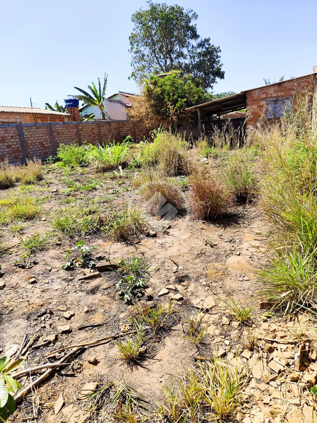 Terreno Jardim Dom Bosco 2ª Etapa, Aparecida de Goiânia - GO — foto 2