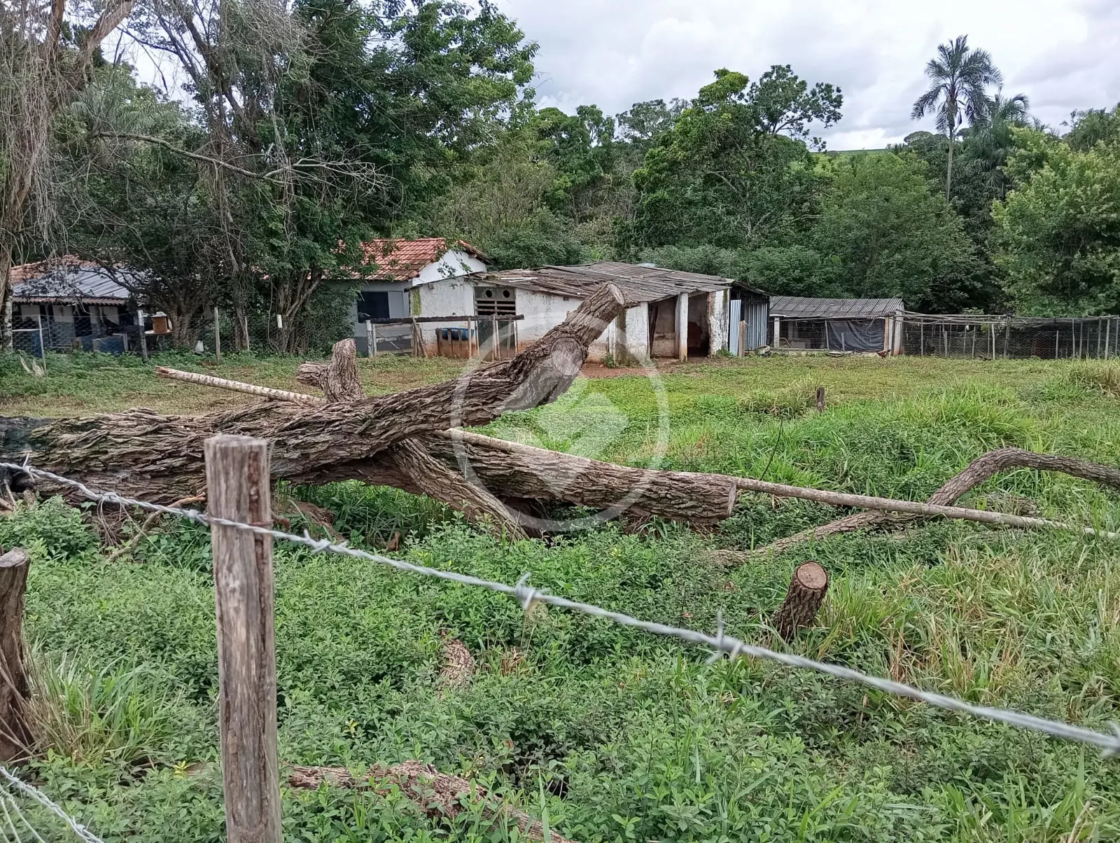 Imagem 5 - Chácara em Garavelo Sul, Hidrolândia - GO